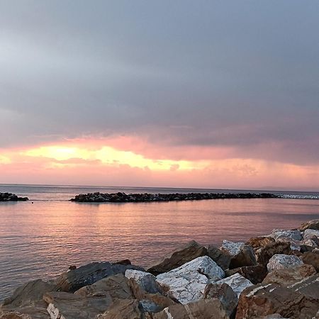 Casa Vacanze Marina Di Pisa Catola エクステリア 写真