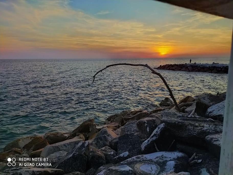 Casa Vacanze Marina Di Pisa Catola エクステリア 写真